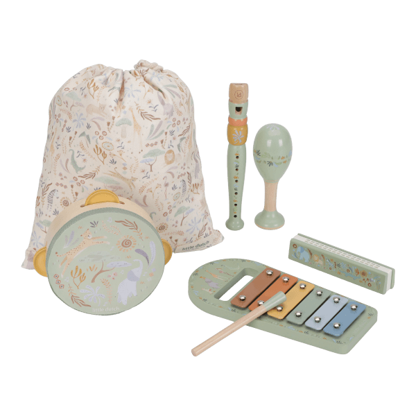 Little Dutch muziekset groen SF LD7473