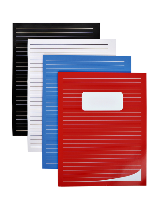 10 Schrift Basic A5 80 blz lijn 70 gr